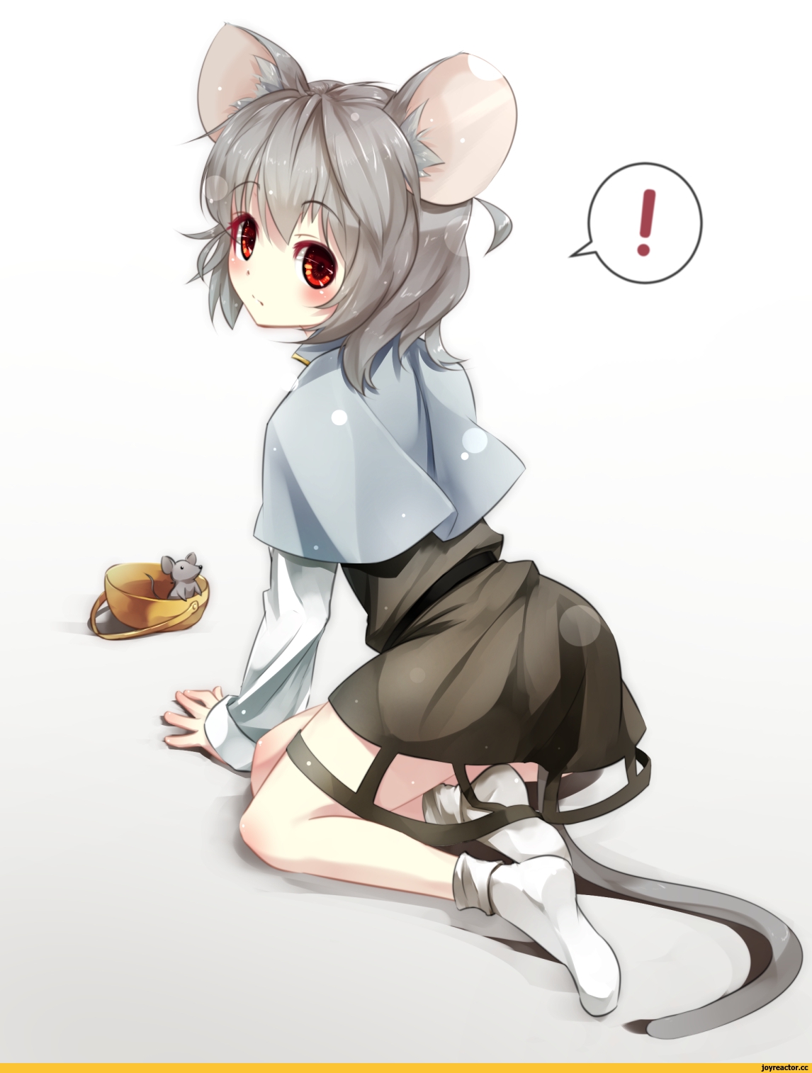 1146x1514