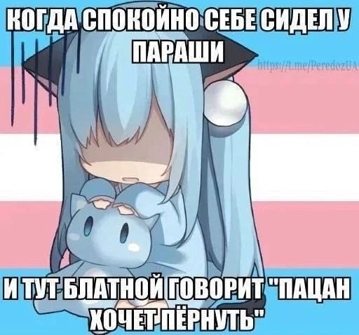 512x478