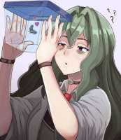 61