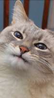 57