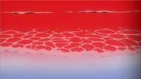 300x168
