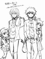 614x795