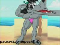 500x375