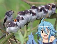 942x739