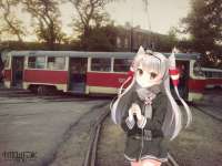 604x453