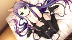 2560x1440