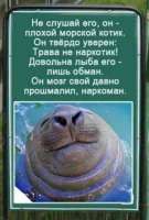 410x604