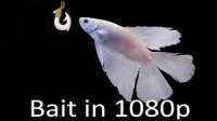 300x168