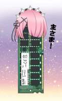 592x960