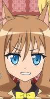 337x656