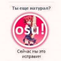 604x604