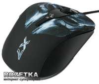 300x256