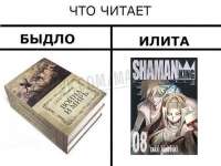604x453