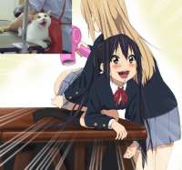 811x761