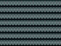 2316x1736