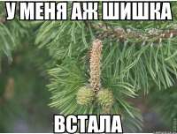 600x456