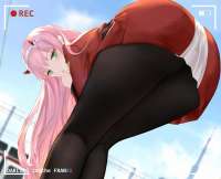 960x778
