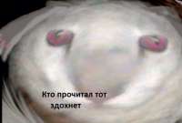 596x403