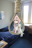 511x768