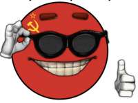 446x334