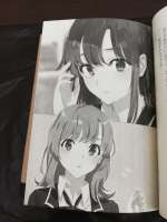 810x1080