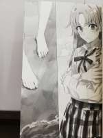 810x1080