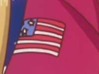 305x231