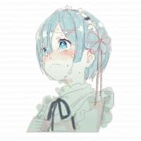 2896x2896