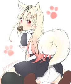 51