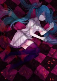 566x800
