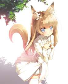 662x807