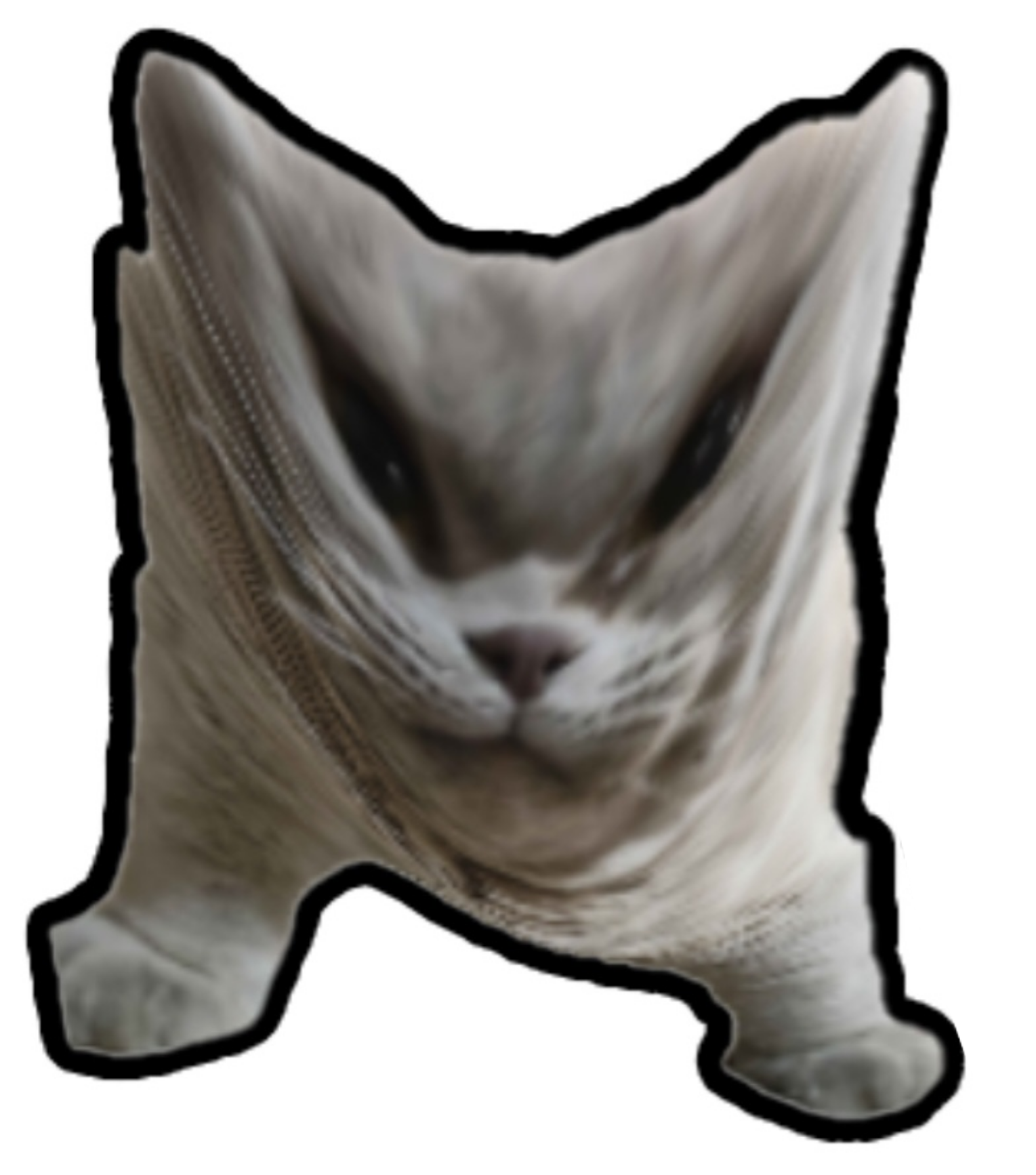 1529x1734