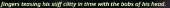 439x23