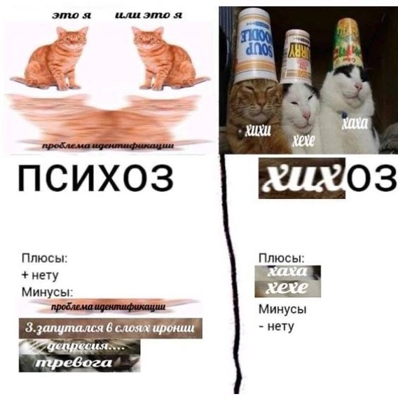 568x572
