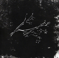 254