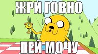 66