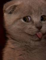 54