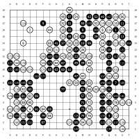 800x800