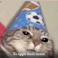528x529