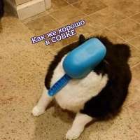 900x900