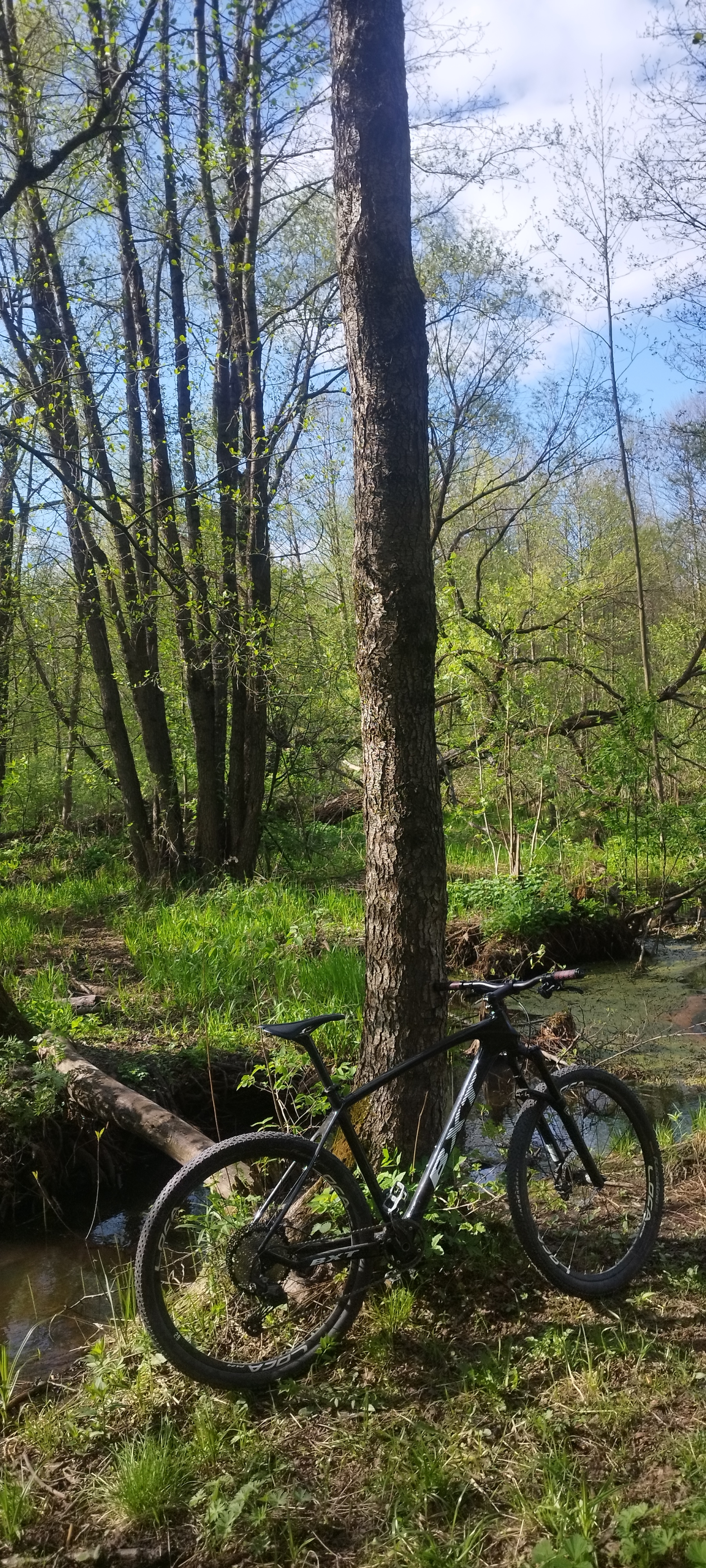 1800x4000