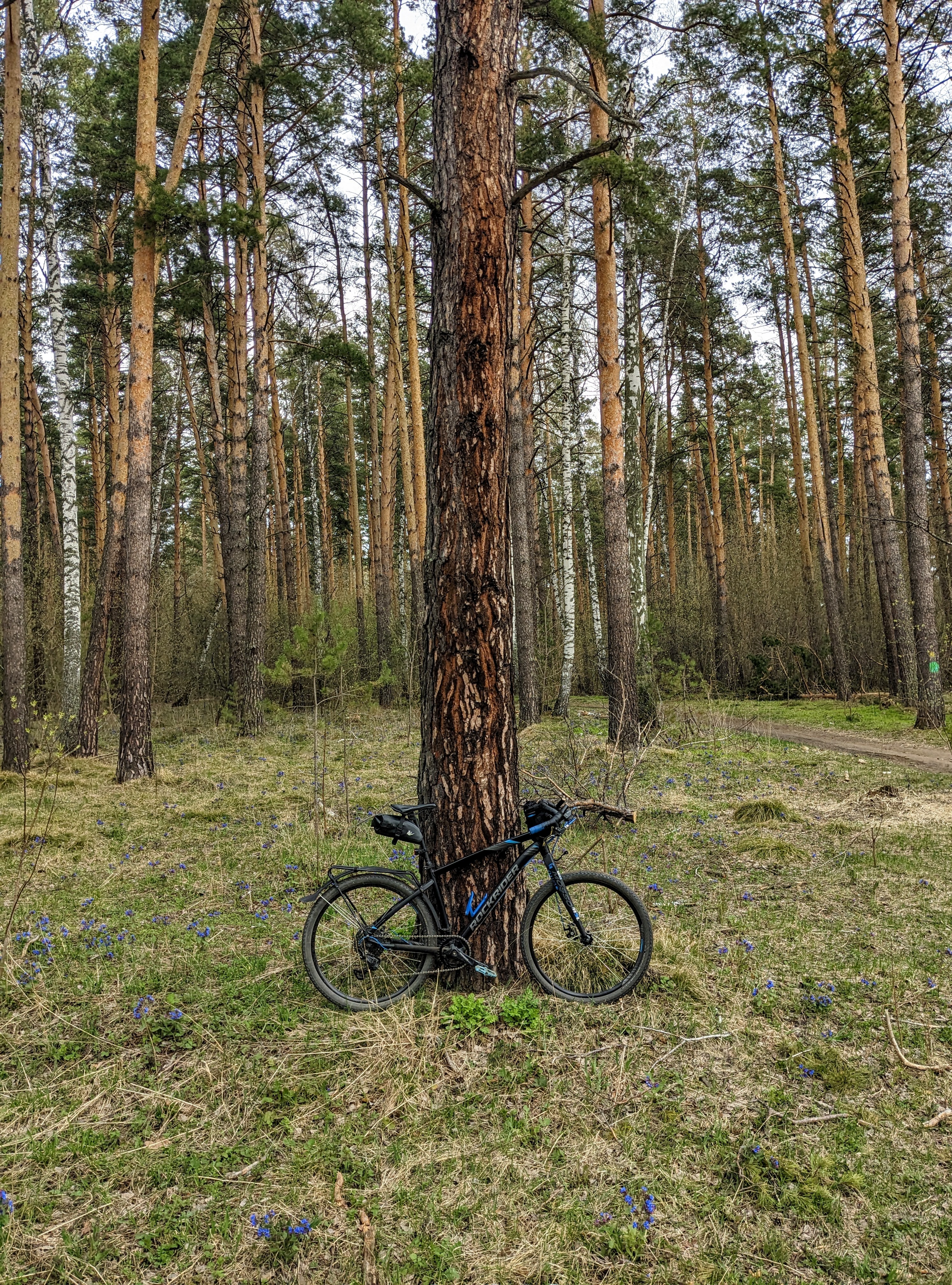 2988x4032
