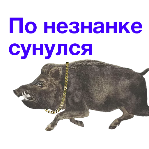 512x512
