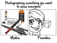 500x378