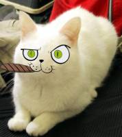 56