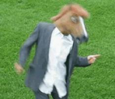 256