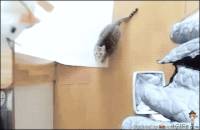 1170
