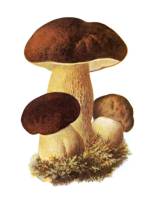 185
