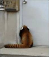 1288