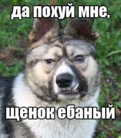 44